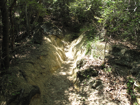 20140602hike (119)